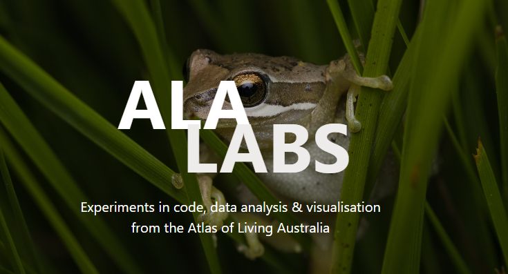 ALA Labs frontpage & text logo. ALA LABS text is in white, formatted as off-centre stacked text. Underneath is smaller text, "Experiments in code, data analysis & visualisation from the Atlas of Living Australia." The background is green grass with a Southern Brown Tree Frog in the middle, hanging onto the grass. It has a darker brown top and lighter brown underside. The frog's eye is a rich dark yellow, with a black pupil in the shape of an oval, stretching from the left to right side of the eye