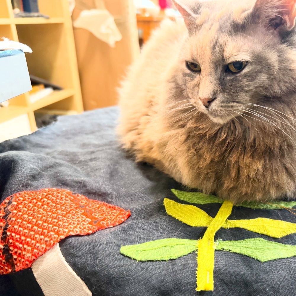 Extremely fluffy cat sits on sewing project in process. A large appliqué mushroom and fern can be seen on a black background 