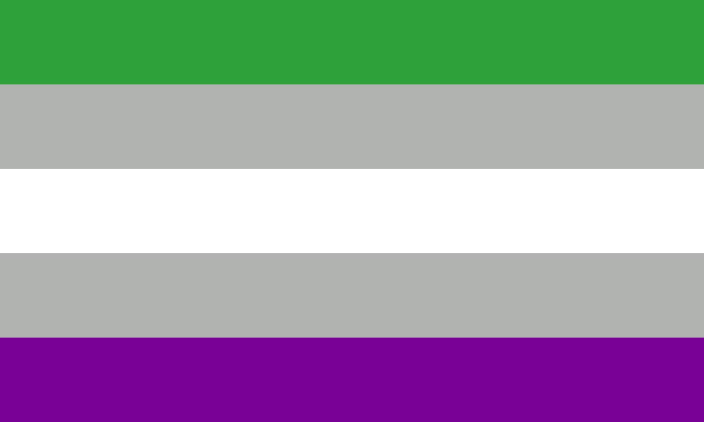 Bandeira Gray/Grey AroAce (Arromântico – Assexual) formada por cinco faixas longas e finas na horizontal com ordem de cores: verde, cinza, branco, cinza e roxo (tom mais forte do que na bandeira não binária).