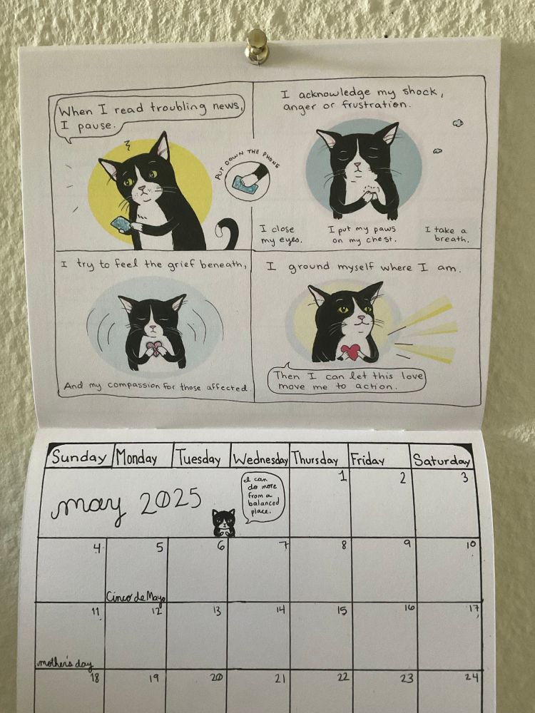 A comic strip. Images of a cat reading their phone. The cat says, ‘when I read troubling news I pause, put my phone down, I acknowledge my shock, anger or frustration. I close my eyes. I put my paws on my chest. I take a breath. I try to feel the grief beneath, and my compassion for those affected. I ground myself where I am. Then I can let this love move me to action. I can do more from a balanced place.’