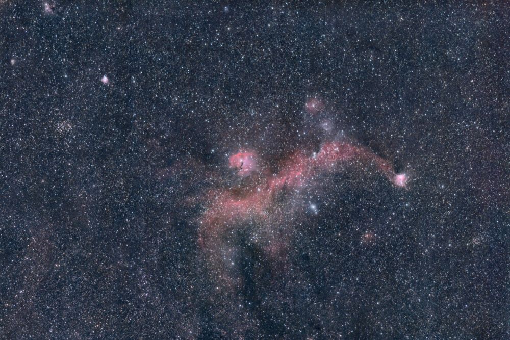 A star-filled view of a portion of the night sky featuring a red-pink nebula shaped like a gull with its wings almost spread.