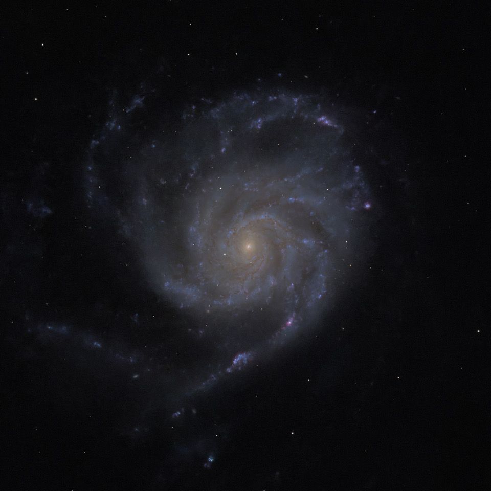 Cropped image of M101, the Pinwheel Galaxy, with the object filling nearly all of the photo. The galaxy is a spiral with a counterclockwise rotation and is seen face-on.