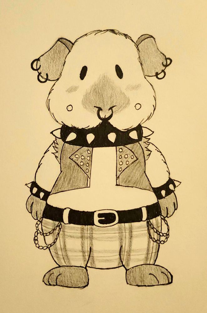 A black and white illustration of a Himalayan guinea pig in punk attire. On both ears are two earrings, on his face are a septum ring and dimple piercings. His eyes are simple black dots, a faint blush on his cheeks. His outfit consists of a spiked collar and wristbands, a studded leather vest and tartan pants with a black belt adorned in chains.  