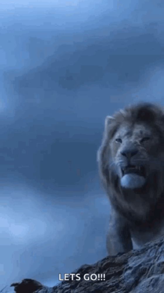 a lion is standing on top of a rocky hill and says `` lets go '' .