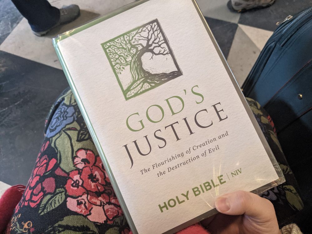 a photo of a book. the text on the front says 'God's justice: The Flourishing of Creation and the Destruction of Evil. Holy Bible: NIV'