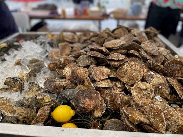 Oysters for sale at a fishmarket.