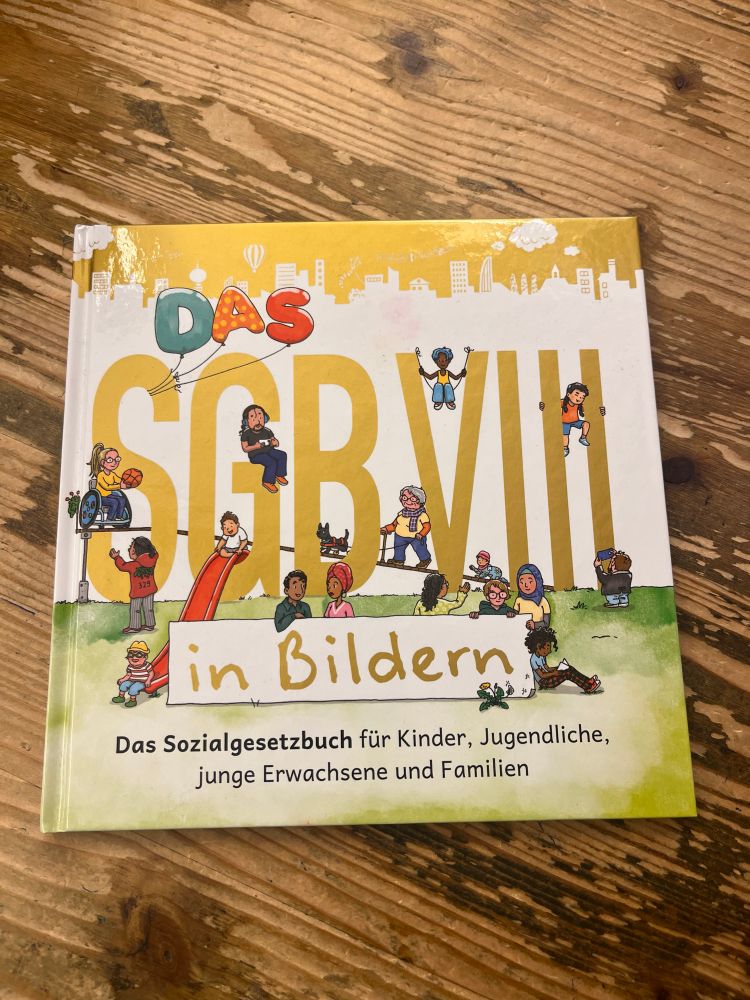 Cover des oben verlinkten Bilderbuches Das SGB 8 in Bildern. 
