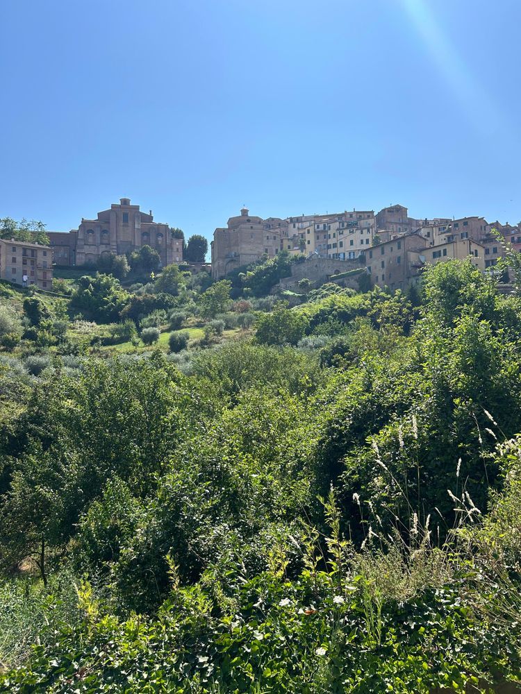 View from one of the collection areas in Tuscany, Italy, covered in the study. Photo credit: Sara Epis.