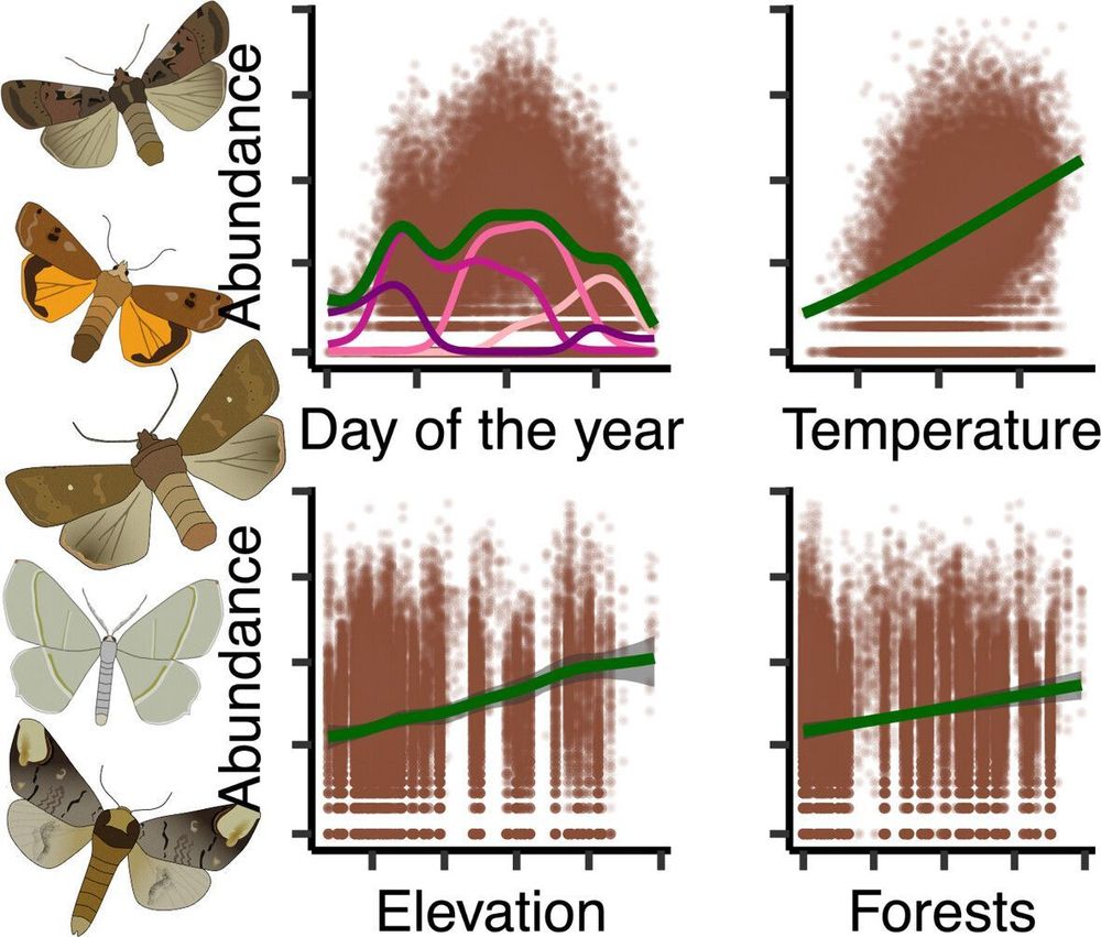 Graphical abstract of: Moth communities are shaped by season, weather, elevation, and landscape composition