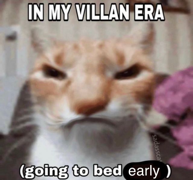 angry looking cat with the captions:
"in my villain era
(going to bed early)"