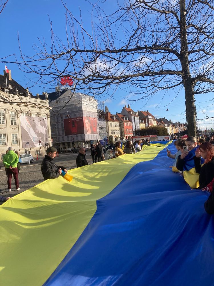 Copenhagen November 17 2024 demo for a Free Ukraine. Копенгаген: Демонстрація 17 листопада 2024 року за незалежну Україну.