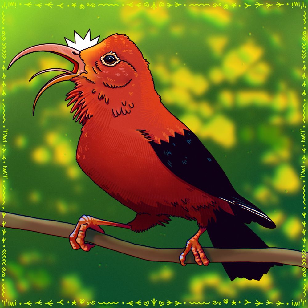 A digital painting of a bright red bird with black wings and a curved bill on a sunny green background