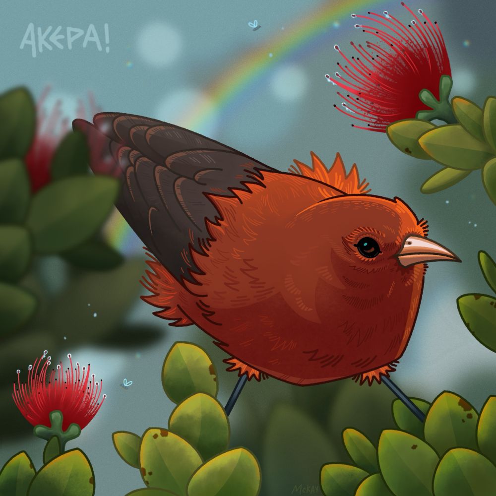 A digital painting of a small reddish bird with dark grey wings perched in greenery with spiky, dew laden flowers 