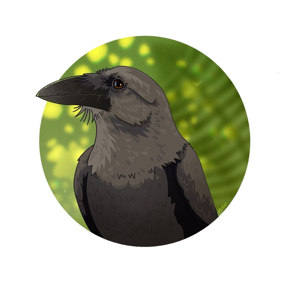 A digital painting of a Hawaiian crow framed in a circle. The background is warm green blurry vegetation. The crow is deep gray brown with warm brown eyes and a huge bill ringed by smaller feathers that look like fur. 