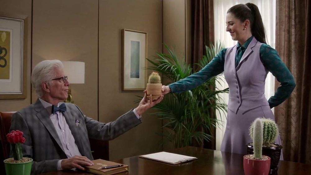 A scene from the TV show The Good Place. Again, Janet swears she has Eleanor's file. Again, she hands over a cactus.