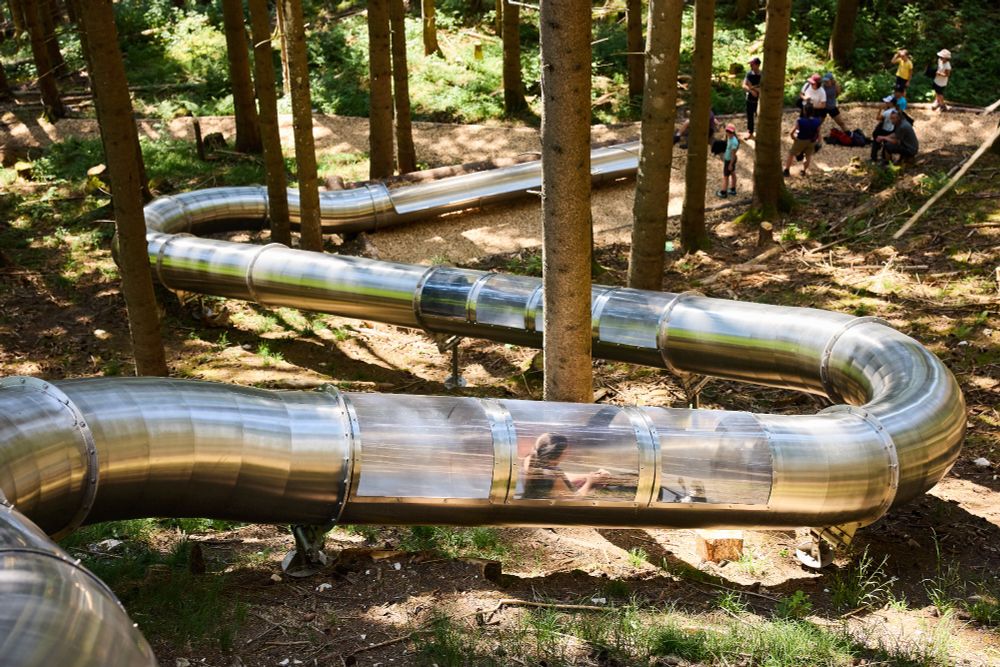 Eine lange, röhrenförmige Stahlrutschbahn führt durch den Wald. (Bild: Charmey)