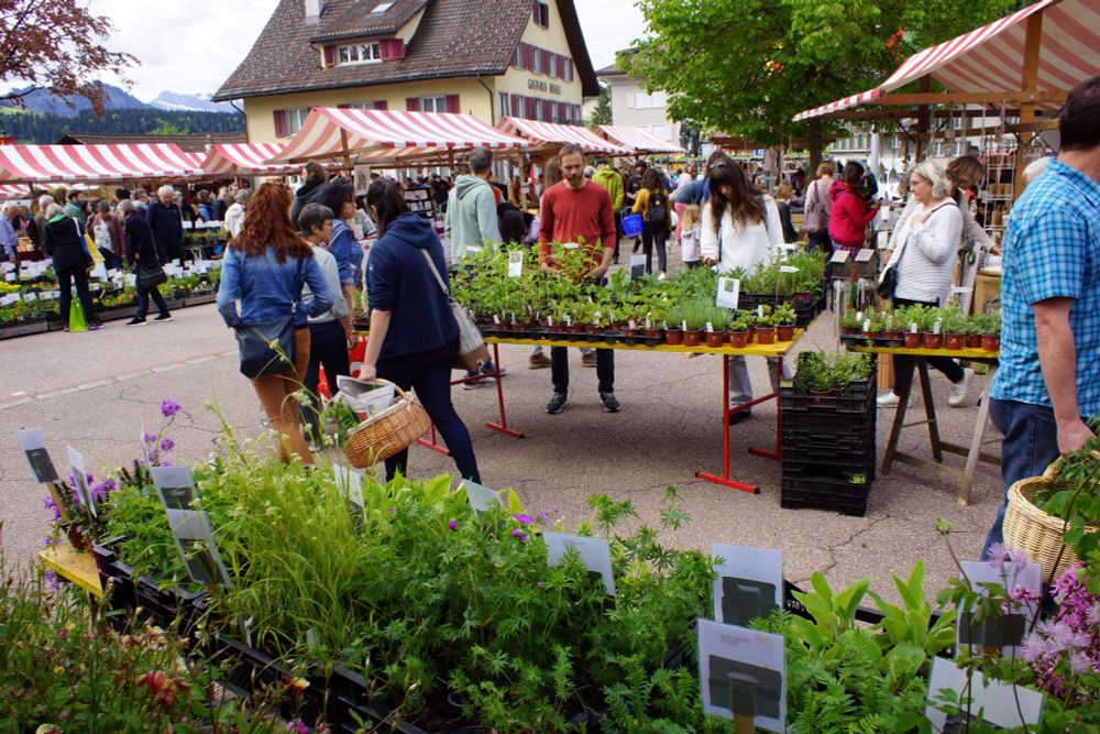 Markt mit Pflanzenständen