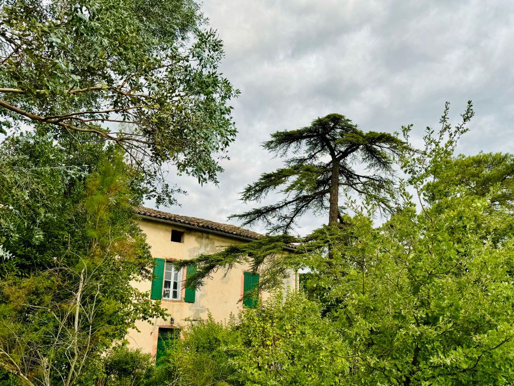 A ramshackle old building with bright forest green wooden shutters peeks out between verdant bushes and trees. The sky is moody and overcast.