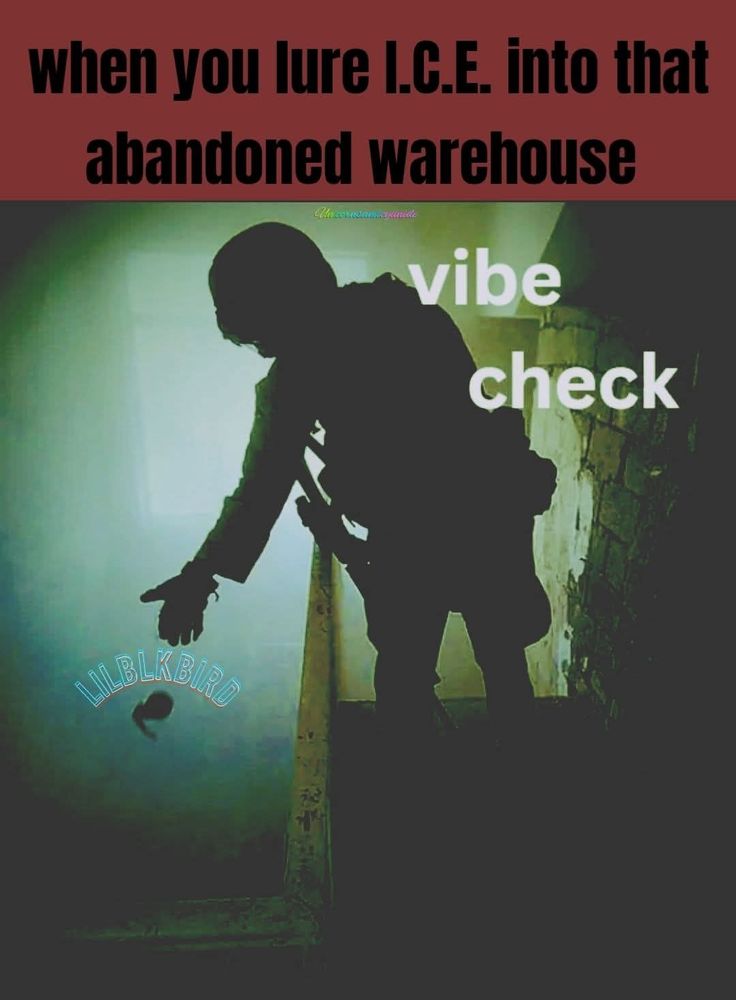 A person dressed in combat gear standing on top of a staircase dropping a grenade to the floor below. The caption on top reads: When you lure ICE into an abandoned warehouse. 
Next to the person is the caption: vibe check 