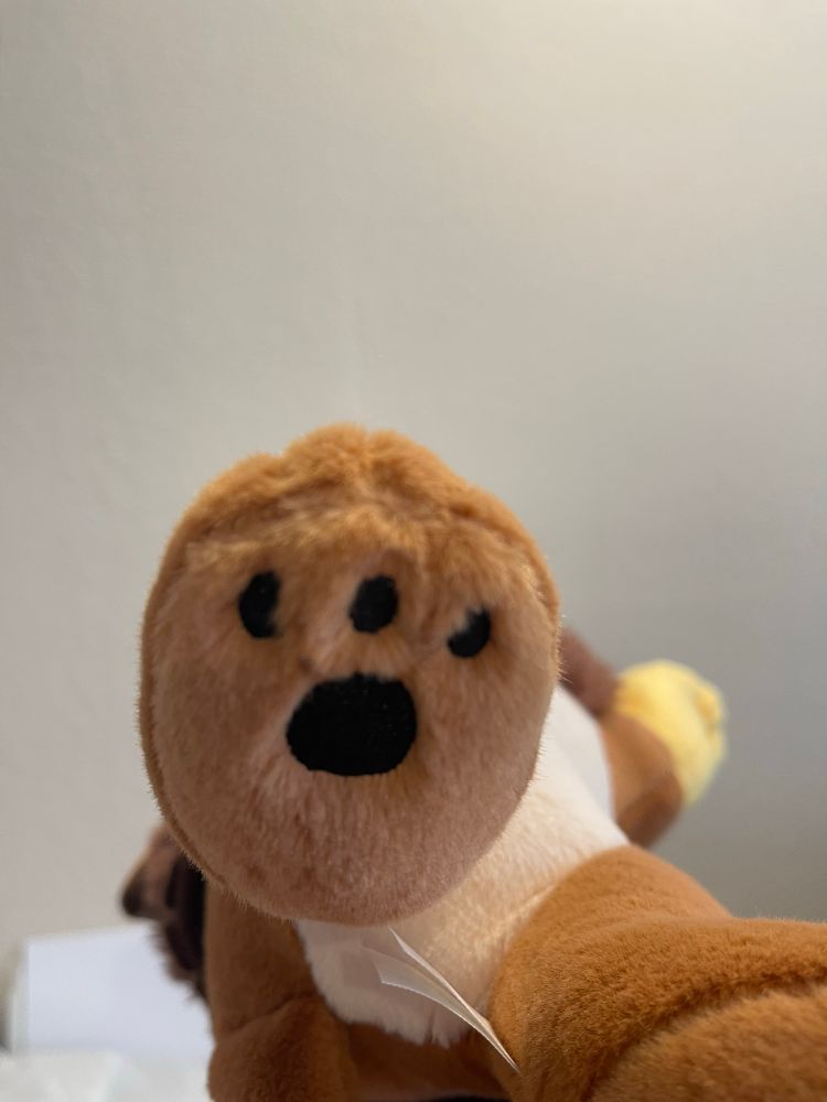 The back paw of a brown, fuzzy Gryphon Plushie from Corviforms on BlueSky.