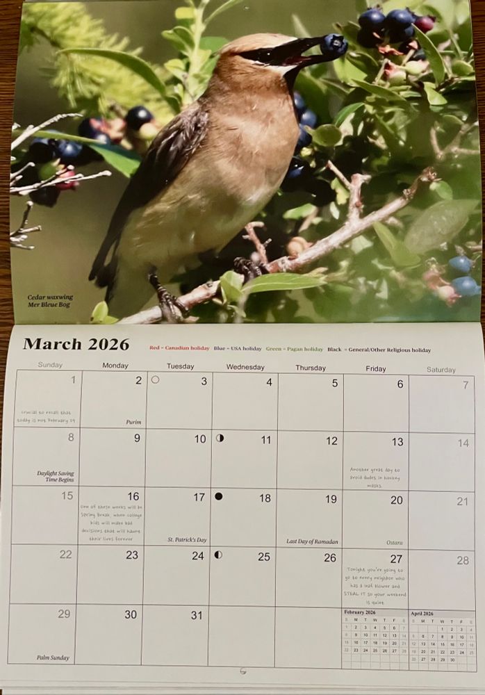 Photo of the March spread, which features a cedar waxwing with a blueberry in its beak, and then of course the days of the month with holidays and such marked. 