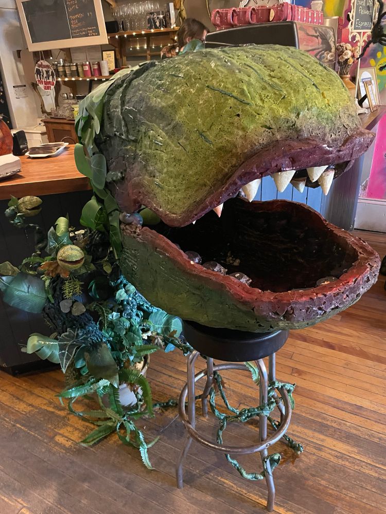 A representation of Audrey the carnivorous plant from Little shop of Horrors set up in front of the coffee bar in my customary cafe. 