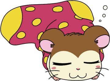 Snoozer, a hamtaro hamham sleeping in his sock