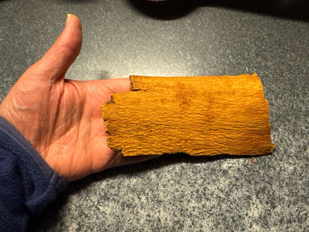 Bout de cannelle d’une douzaine deux cm de long et de la largeur de ma main. 