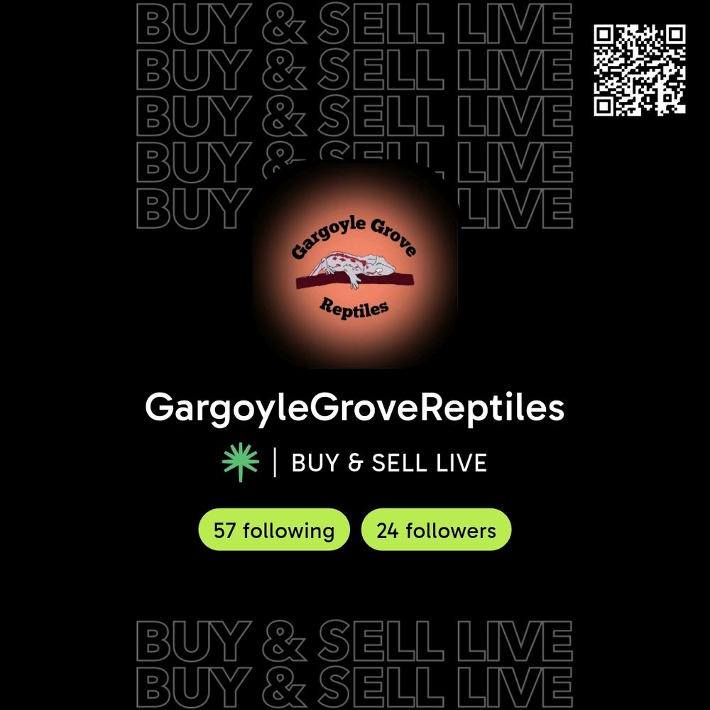 Palmstreet Gargoyle Grove Reptiles 