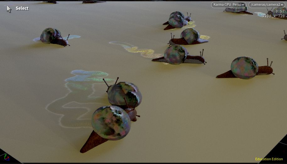 Many slugs - all have metallic shells and leave a rainbow trail on the floor