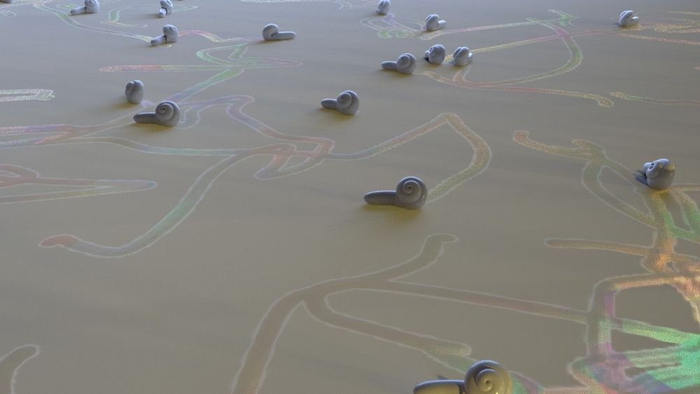 Slugs leaving behind a rainbow slime trail