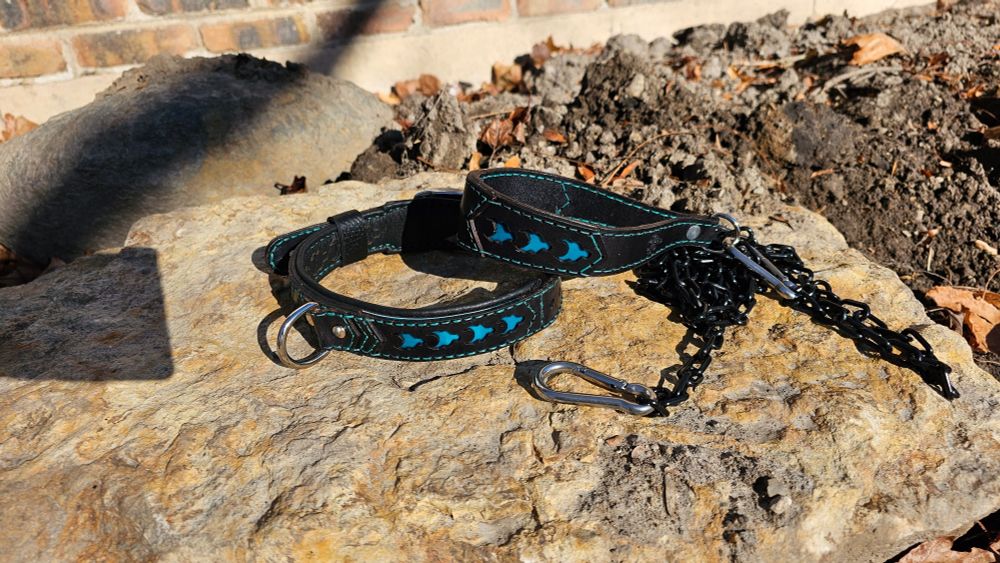 Exclusive collar and leash set with dragon symbol