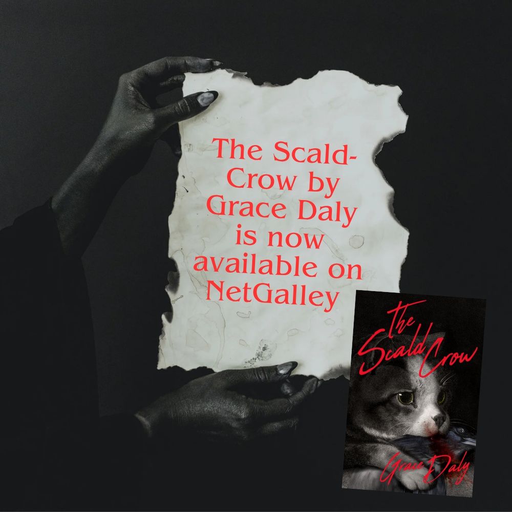 Spooky hands in grayscale hold up a ratty piece of white parchment which reads "The Scald-Crow by Grace Daly is now available on NetGalley". In the corner there is a picture of the cover of the book.
