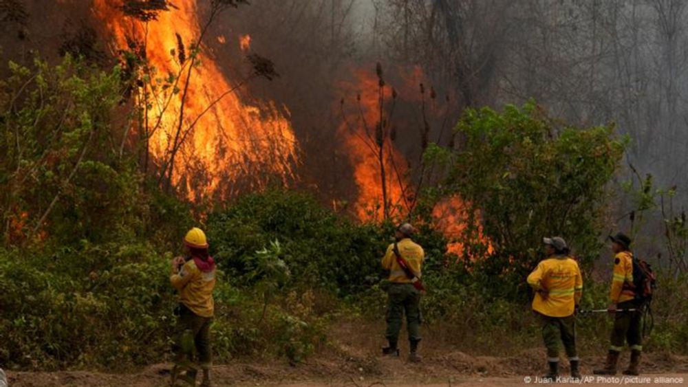 Bolívia decreta "desastre nacional" por incêndios florestais