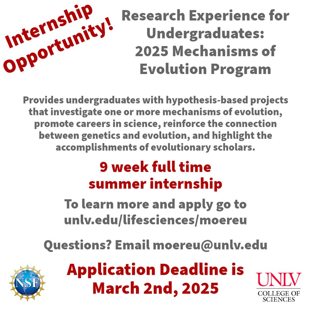 Text-based advertisement for UNLV REU
