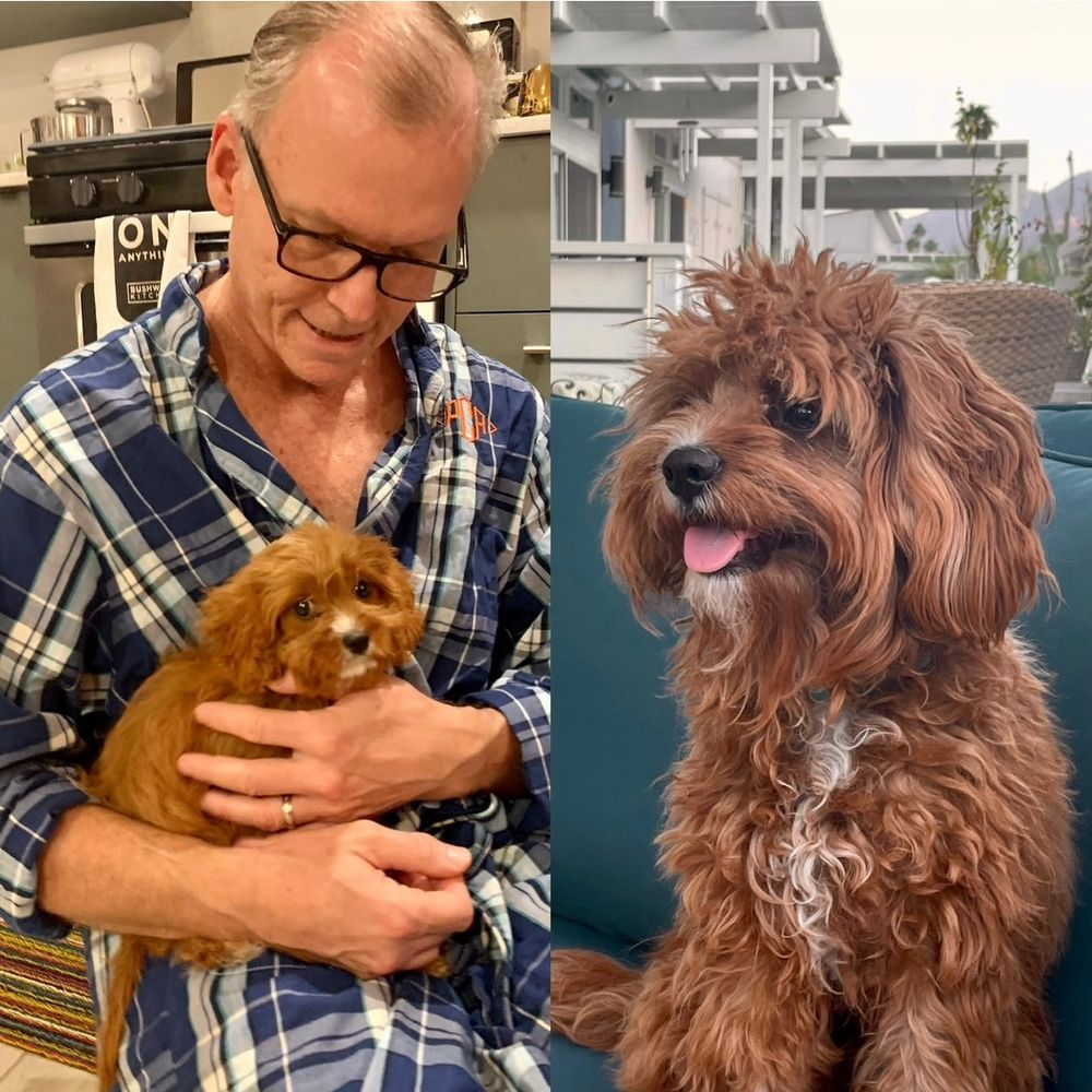 Gregory then and Gregory now.