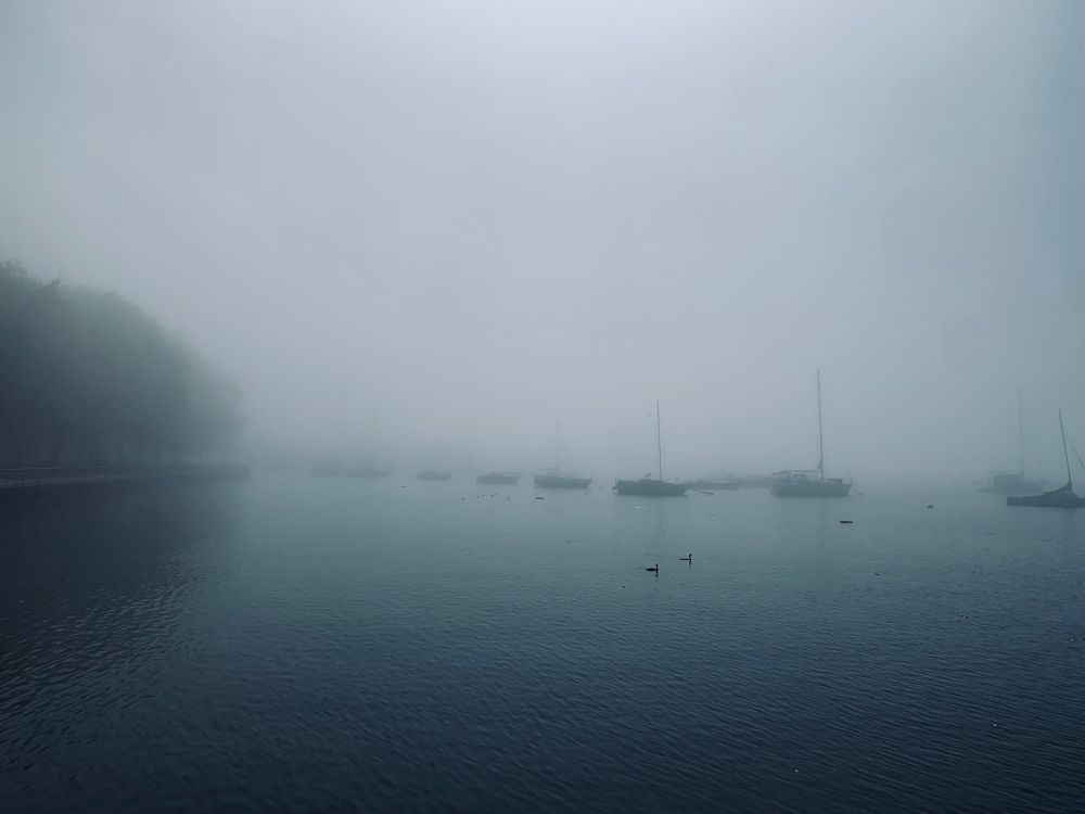 Photo of boast bathed in haze. Two water birds float. Tree silhouettes on the left.