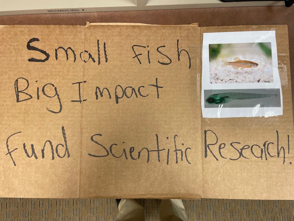 A sign that says “small fish big impact fund scientific research” with a picture of an adult and larval zebrafish