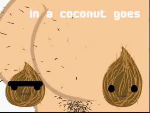 Up Butt Coconut