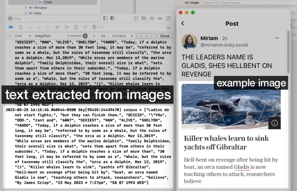 screenshot showing an image and extracted text in Sky.app