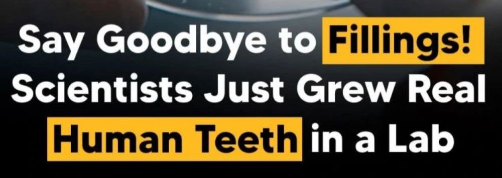 a screenshot that reads: "Say Goodbye to Fillings! Scientists Just Grew Real Human Teeth in a Lab"