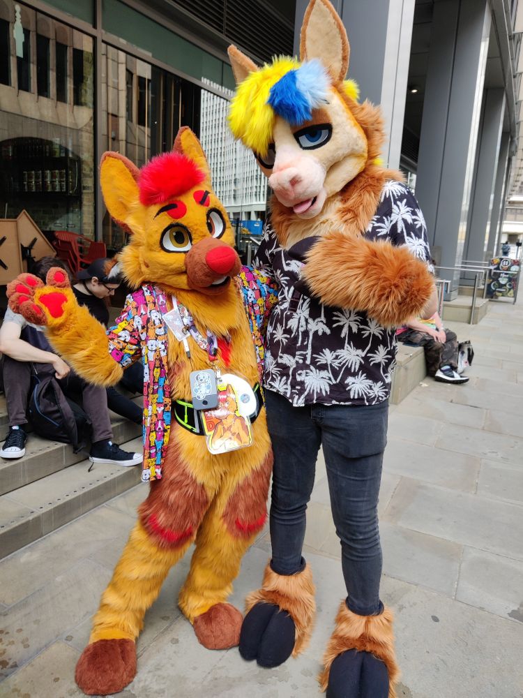 Red Shepherd and Gale the Alpaca