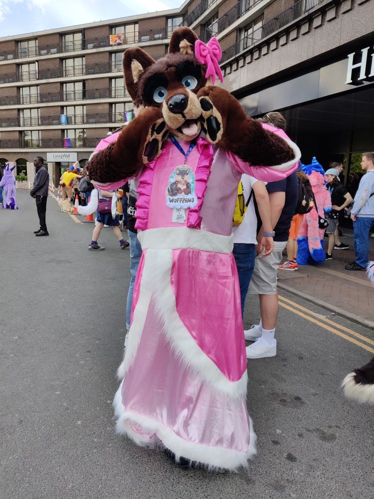 Wuffpaws, not sure of species but a lovely brown plush suit in a lovely pink pricessy dress.