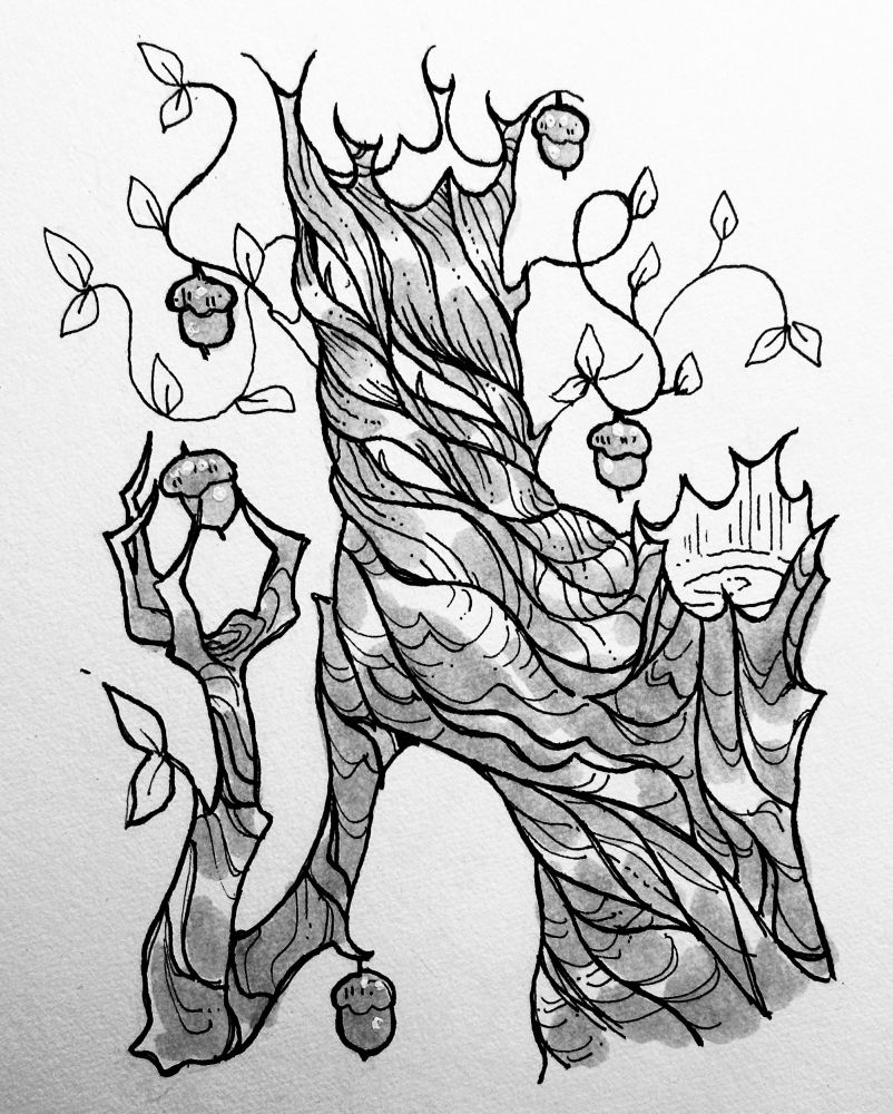A representation of the new Minecraft mob, “The Creaking” in an illustrative style. Drawn with black and white ink, the creaking is shown to be holding acorns, and with acorns drawing off of it. Only the top half body is shown.