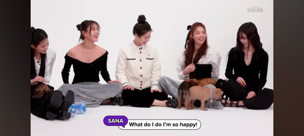 Five members (all women) of the kpop group Twice during their BuzzFeed puppy interview. Several are crawling on Sana, who asks in subtitles "what do I do, I'm so happy?"