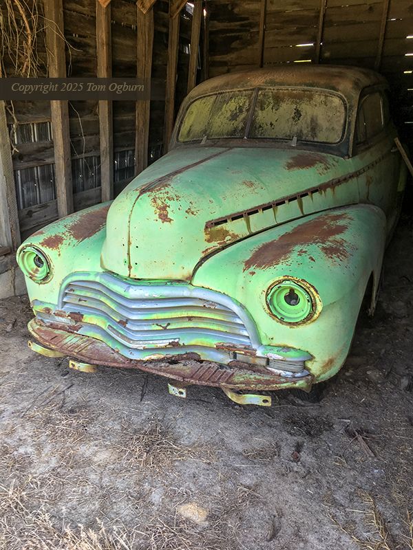 An old vehicle dissolves under a wooden garage which has protected the oddly intense celadon green color which really hearkens of a giant praying mantis. "The bug car” was what remained in mind for months. The pale, nearly whitish kaolin soil with the old dying grass in from seems a perfect foreground for this photograph.