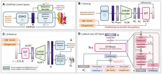 The PLAID model architecture