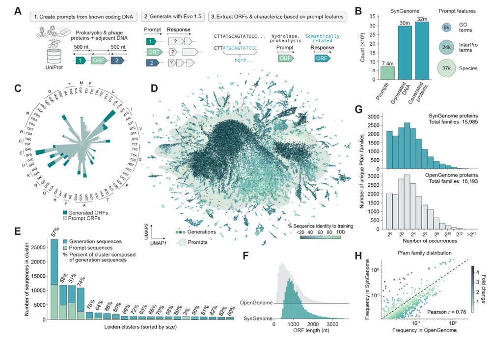 120 billion base pairs of AI-generated genomic sequences with SynGenome.