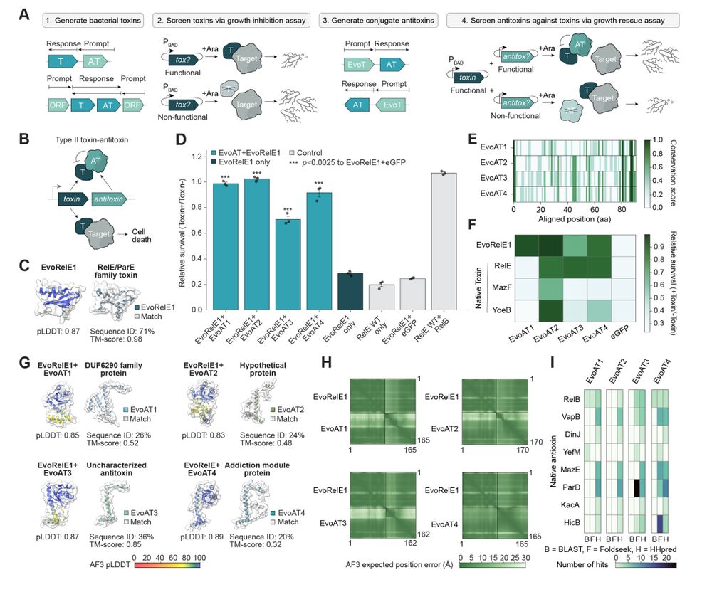 Evo generates functional toxin-antitoxin protein-protein interactions with remote homology to nature.
