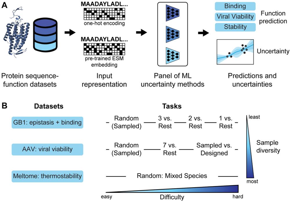 Approach, datasets, and tasks
